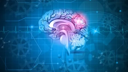 What is Neurosurgery?