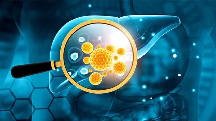 What is Hepatitis? What are the Symptoms and Treatment Methods?