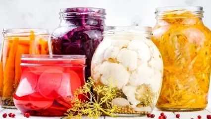 What is a Probiotic? What Are Its Benefits? 