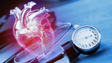 Renal Denervation in Hypertension Treatment