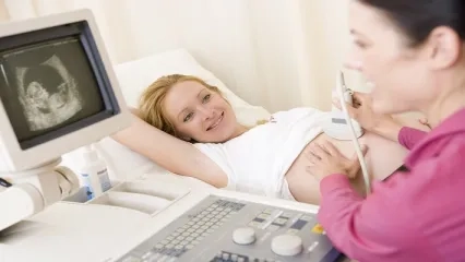  What is Risky Pregnancy?