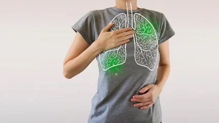 What is Desert Dust? Harms of Desert Dust