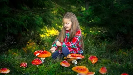 Mantar Zehirlenmeleri