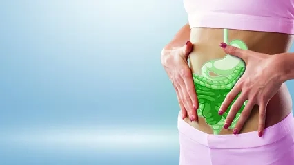 The Relationship Between Gut Microbiota and Obesity