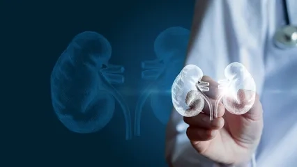 Common Misconceptions About Kidney Transplantation