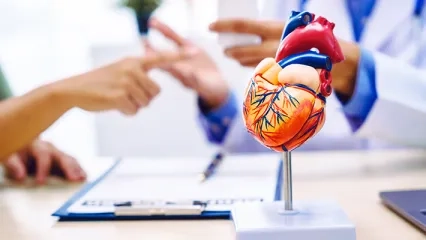 Surgical Treatment of Heart Valve Diseases