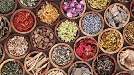 Fitoterapi ve Bağışıklık Sistemi