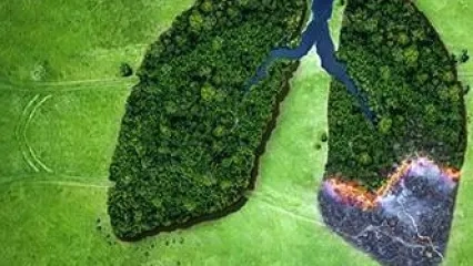 Yangınlarda Solunan Hava Tehlikeli mi?