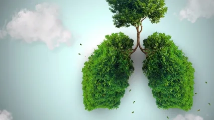 How to Cleanse Your Lungs?
