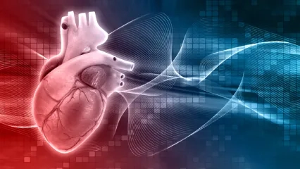 TAVİ Nedir?
