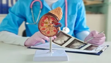 Renal Doppler Us