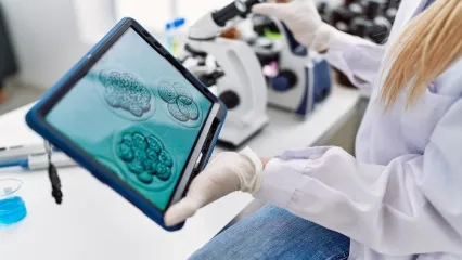 Yakın Gelecekte Kök Hücreden Sperm Üretilecek