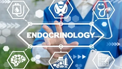 Endokrinoloji Bilim Dalı