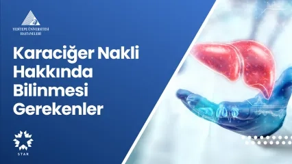 Karaciğer Nakli Hakkında Bilinmesi Gerekenler