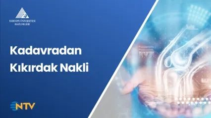 Kadavradan Kıkırdak Nakli