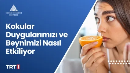Kokular Duygularımızı ve Beynimizi Nasıl Etkiliyor