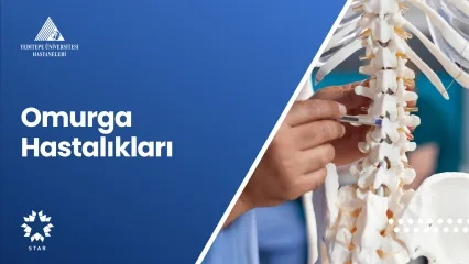 Omurga Hastalıkları | Prof. Dr. Ahmet Hilmi Kaya