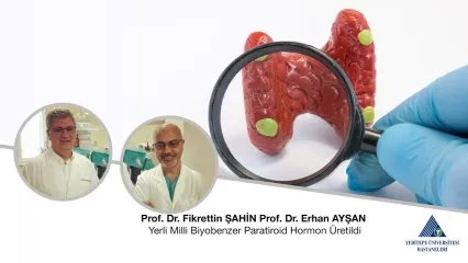 Yerli Milli Biyobenzer Paratiroid Hormon Üretildi