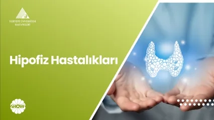 Hipofiz Hastalıkları | Prof. Dr. Fahrettin Keleştemur