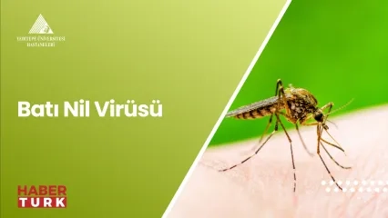 Batı Nil Virüsü | Prof. Dr. Meral Sönmezoğlu