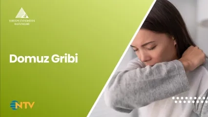 Domuz Gribi ve Belirtileri | Prof. Dr. Meral Sönmezoğlu