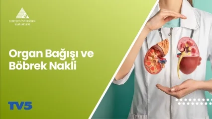 Organ Bağışı ve Böbrek Nakli