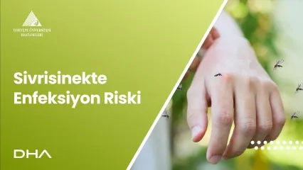Sivrisinekte Enfeksiyon Riski | Prof. Dr. Meral Sönmezoğlu
