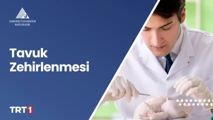 Tavuk Zehirlenmesi