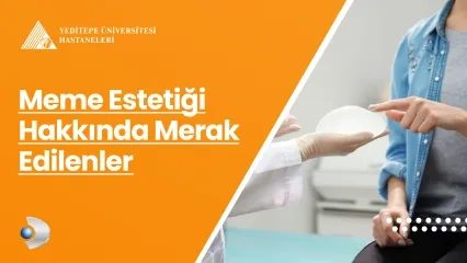 Meme Estetiği Hakkında Merak Edilenler