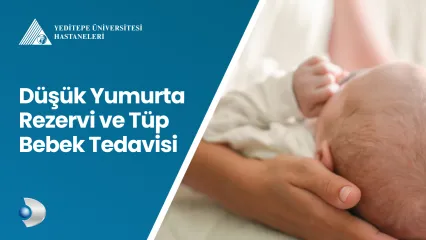 Düşük Yumurta Rezervi ve Tüp Bebek Tedavisi