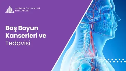 Baş Boyun Kanserleri ve Tedavisi 