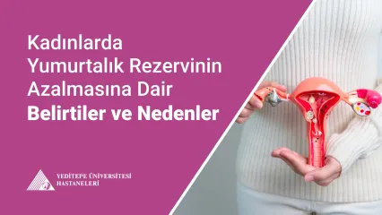 Kadınlarda Yumurtalık Rezervinin Azalma Nedenleri 