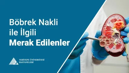 Böbrek Nakli ile İlgili Merak Edilenler