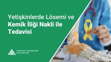 Yetişkinlerde Lösemi ve Kemik İliği Nakli ile Tedavisi