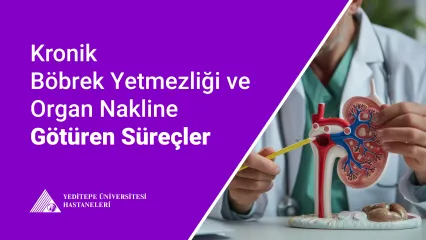 Kronik Böbrek Yetmezliği ve Organ Nakline Götüren Süreç