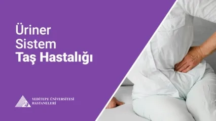 Üriner Sistem Taş Hastalığı