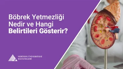 Böbrek Yetmezliği Nedir?