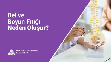  Bel ve Boyun Fıtığı Neden Oluşur?