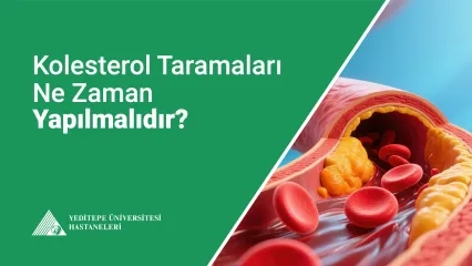 Kolesterol Taramaları