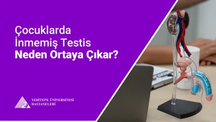İnmemiş Testis