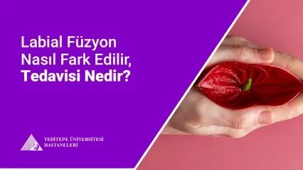 Labial Füzyon