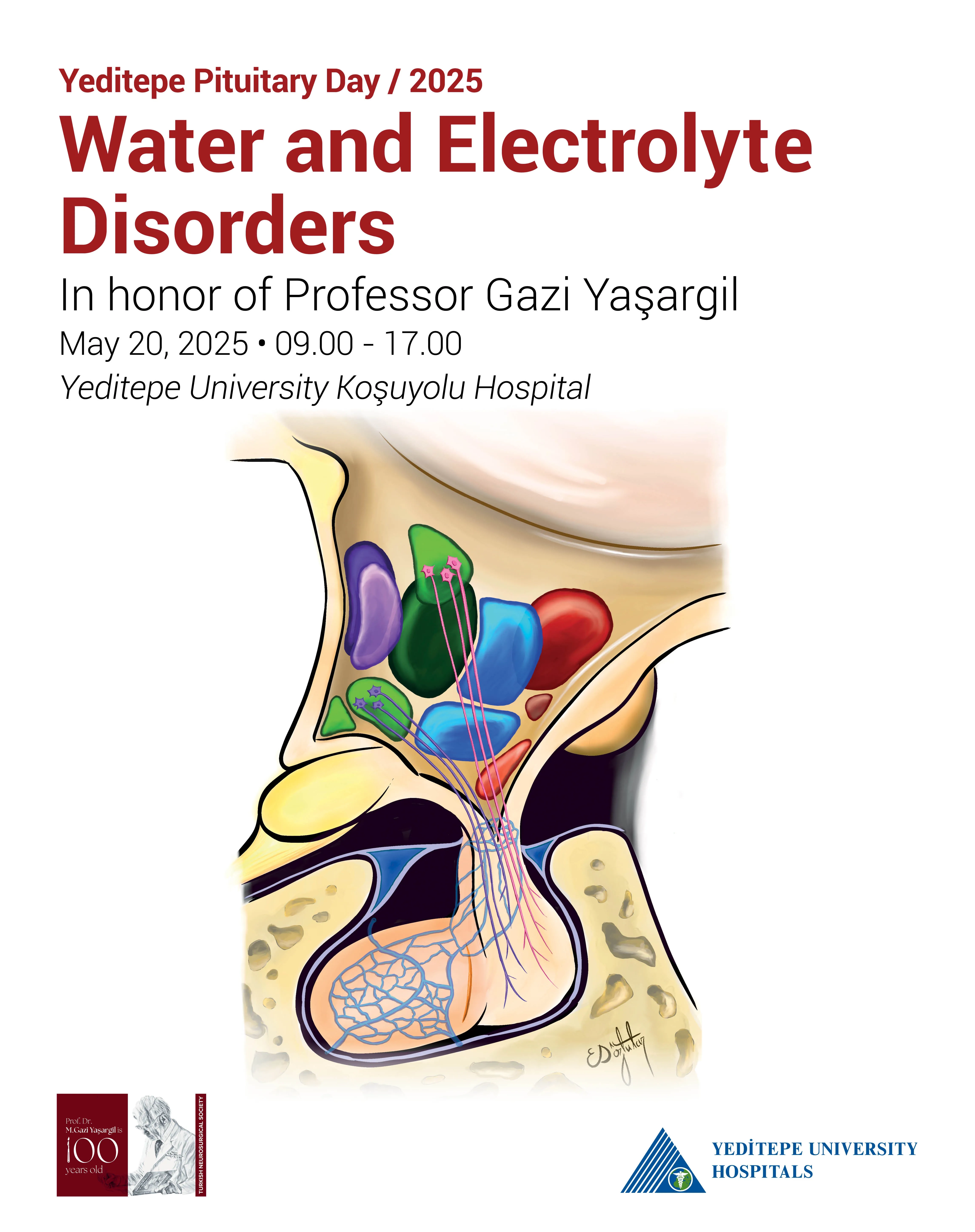 Yeditepe Pituitary Day / 2025