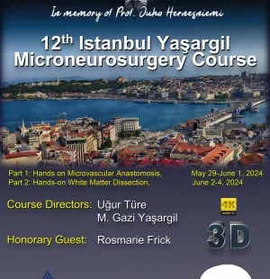 12. Istanbul Yaşargil Microneurosurgery Course